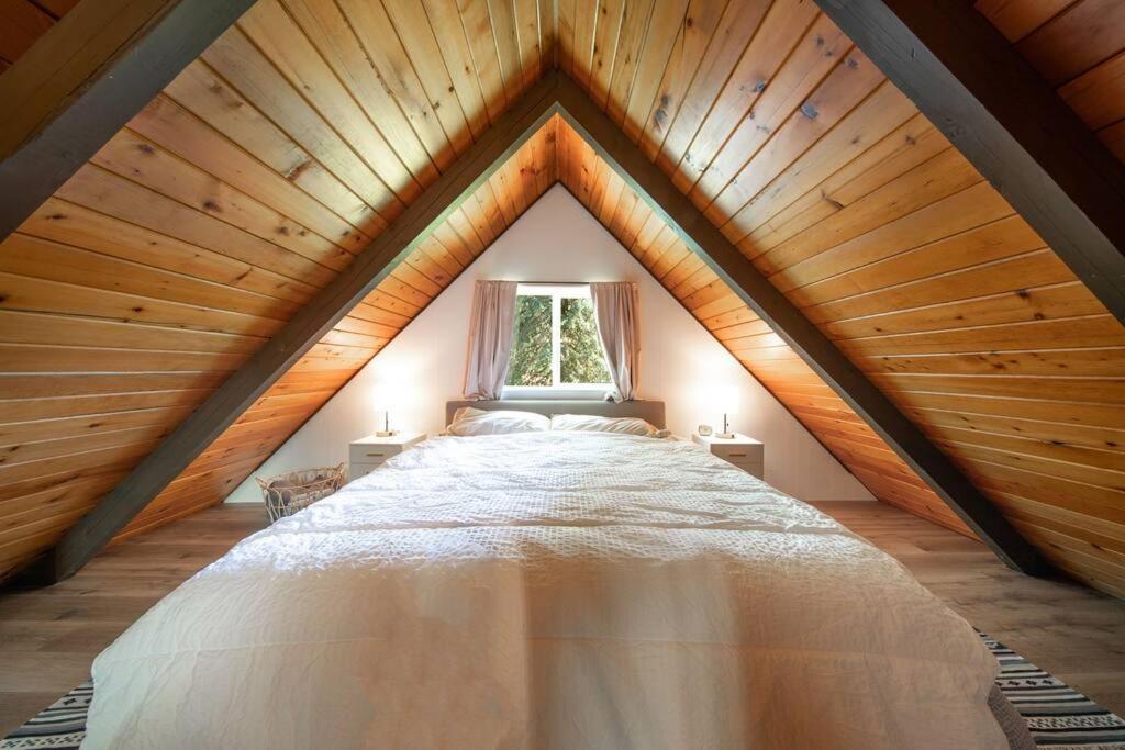 R & R Chalet At Mt. Rainier Ashford Exteriör bild